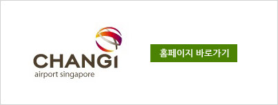 changi airport singapore