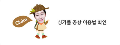 싱가폴 공항 이용법 확인